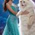Super Hit Viral Dance Of Girl With White Cat On The Stage Of Agt Americasgottalent
