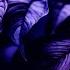 CloZee Neon Jungle Lane 8 Remix