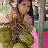 Fresh Coconut Water Is Very Sweet Thai Street Food Shorts