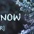 English Cover BTS 방탄소년단 Crystal Snow By Shimmeringrain