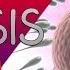Spermatogenesis Made Easy