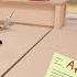 LAST WEEK OF SCHOOL STATE TEST CHAOTIC Berry Ave Family Roleplay Roblox Berryave Roleplay