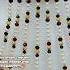 Amazing Jadaaoo Jhoomar Trending Jewellery