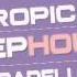 Tropical Deep House Acapellas Vocal Loops Vocal Samples Female Vocal Acapellas Sample Pack