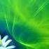Onycs Edelweiss Meditation Music Relax Music Лучшая спокойная музыка без авторских прав