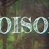 WE ARE FURY Poison Lyrics Feat Derek Joel