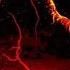 Episode 1 I CANT HEAR ME Demon Blood Moon Remake