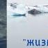 И Д Папанин ЖИЗНЬ НА ЛЬДИНЕ Дневник Папанина Аудиокнига Редкое издание 1938 г