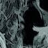 For The Pyres Sweden Hymns Of Deception Full Album