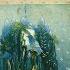 Ravel Gaspard De La Nuit M 55 I Ondine