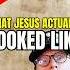 BEST Reanimation Of The Shroud Of Turin Christian Jesus Science Shorts