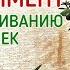 Денежное дерево толстянка Эксперимент по проращиванию веточек
