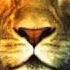 The Chronicles Of Narnia Trailer Soundtrack