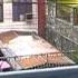 MOV18B