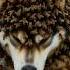 A Terrifying Moment For This Husky How Does It End