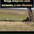 Иногда надо перестать гнаться за мечтой цель мечта мотивация сосмыслом Motivation мотивация Shorts