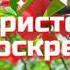 Мы вам желаем счастья