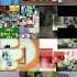 Ytpmv Shuric Scan X114