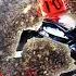 He Abruptly Left Home Went On A Bizarre Road Trip To Get Away Unsolved Murder Of Blair Adams
