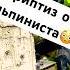 Стриптиз от промальпа промальп Music юмор Shortvideo приколы Viralvideo