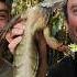 Brad Cooks The Chicken Of The Trees IGUANA Makin It Brad Leone