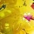 Rayman Legends Music Stage Grannies World Tour