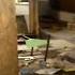 15 Years Of Decay Clearing The Attic Of A Once Abandoned Chateau