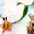 12 Hours Of Relaxing Music Relaxing Piano Guitar Sleep Music Stress Relief Peaceful Day