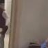 Monkey Paying For Pizza Delivery