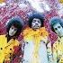 The Jimi Hendrix Experience Purple Haze Official Audio