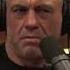 The Raw Intelligence Of Crows Joe Rogan