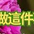 醫生警告 早上這4個致命的手淫錯誤正在悄悄傷害年長男性的健康
