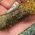 Mark Zona On Power Fishing A Tube For Bigger Bass