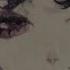 Mitski Remember My Name Sped Up Lyrics