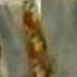 Celeste Siempre Celeste Cap 154 3 Wmv
