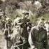 Sokolovi Sivi Tici But You Are Fighting Against German Army In Serbian Hills