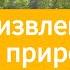 25 марта 2020 Христос извлекал уроки из природы Взгляд ввысь Адвентисты