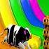 Paint Animals Cow Elephant Gorilla Buffalo Zebra Lion Fountain Crossing Transformation Cartoon