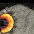 Burning Iron And Sulfur Is So Satisfying