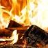 Fireplace Forest Nights With Gentle Fir Sounds And Glowing Coals For Relaxing Christmas Ambience