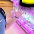 50 Coin Claw Machine Challenge In Japan