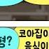 남녀노소 누구나 100 만족하는 코아집 ㅋㅋㅋ 밥나와 옷나와 못나와