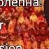 Тася великолепна песня легенде Автор Sara Becker