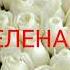 С Днём рождения Елена