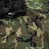 Military Modular Sleep System My High Quality All Season Sleeping Bag HighCarbonSteel Love