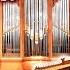 MOZART SYMPHONY No 40 ORGAN SOLO TAIWAN NATIONAL CONCERT HALL