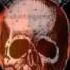 Black Label Society SDMF Strength Determination Merciless Forever