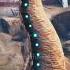 ARK ASCENDED VS ARK SURVIVAL EVOLVED EXTINCTION DINOS PART 2 Shorts Ark Sigma