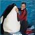 Killer Whale That Unalived A Female Trainer In Seaworld Orlando Orca Truestory Wildanimals