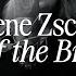 Darlene Zschech Cry Of The Broken Music Video With Lyrics